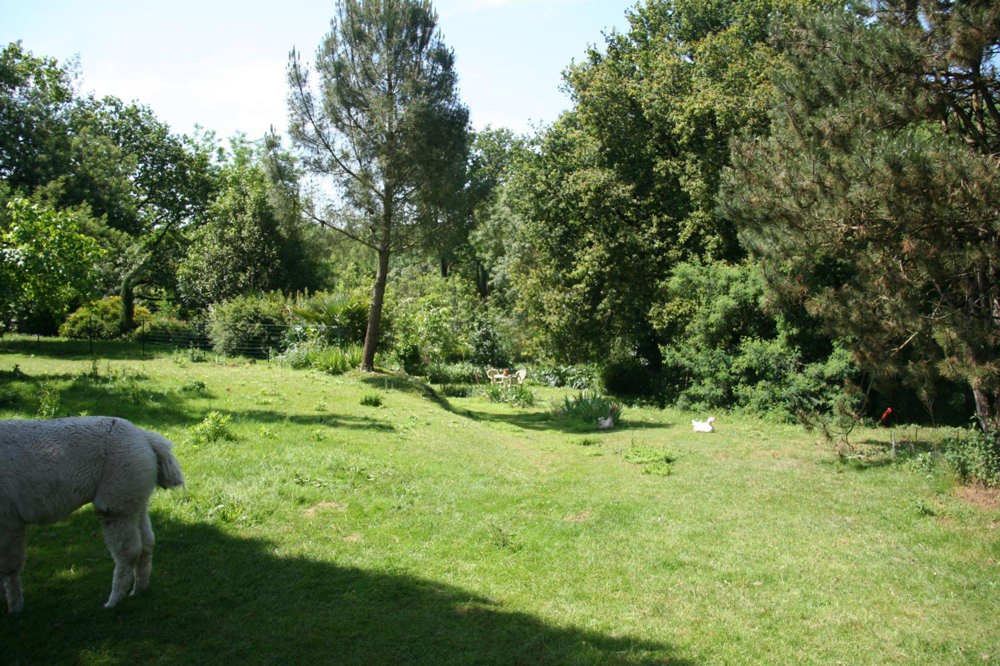 Une Chambre A La Campagne Basse-Goulaine Exterior foto